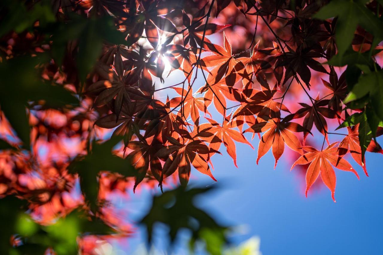 清境英格曼花園民宿 Renai Extérieur photo